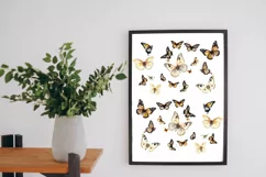 Butterfly clipart, Butterfly PNG, Butterfly painting, 51 PNG Product Image 5
