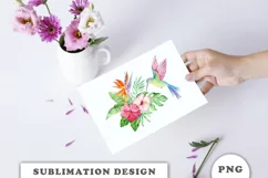 Watercolor Hummingbird Sublimation Downloads Product Image 6