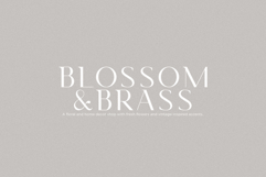 Charme - Modern Semi Serif Product Image 6