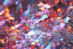 Shiny, metallic confetti pieces scattered everywhere Product Image 1
