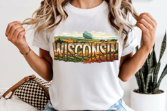 Wisconsin State PNG, Vintage Lake Forest Sublimation Product Image 6
