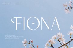 Mocha | Modern Display Sans Product Image 6