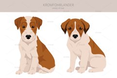 Kromfohrlander clipart Product Image 4