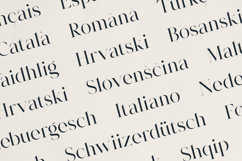 Morlique Serif Font Product Image 6