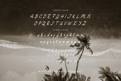 Camarali Script Font Product Image 6