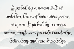 Something Product Image 6