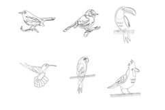 Birds Outlines Set 1 Procreate Brush Stamps, 30 Bird Product Image 6