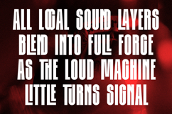 Kalina - Ultra Condensed Font Product Image 6