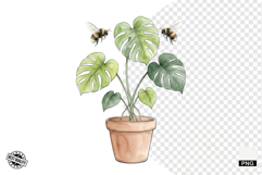 Summer Wildflowers &amp; Bird &amp; Insect Clipart - Houseplant PNG Product Image 1