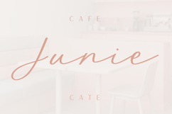 True Blush - Handwritten Signature Font Product Image 6