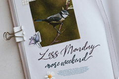 Bird life Product Image 4