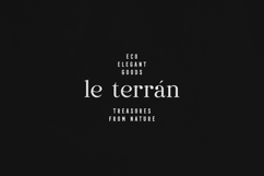 Dentra Solina Elegant Font Duo Product Image 6