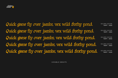 Golden Goose Italic Infused Serif Product Image 6