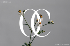 Castica Product Image 6