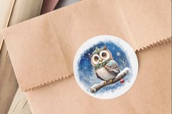 Watercolor winter Owls cliparts. 10 PNG sublimation Product Image 5