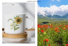 Watercolour Summer Flowers Fields Product Image 13
