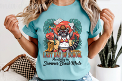 Last Day of School PNG, Western Cowboy Raccoon Sublimation Product Image 5