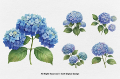 15 Bundle Watercolor Hydrangea Flower Blue Floral Garden Product Image 6