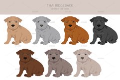 Thai Ridgeback clipart Product Image 2