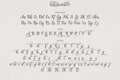 Whitecastle - Modern Calligraphy Script Product Image 6
