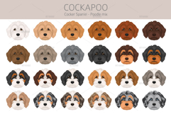Cockapoo. Cocker Spaniel-Poodle mix Product Image 5