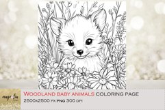 Woodland baby animal, coloring page for kids png Product Image 1