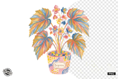 Charm Summer Houseplant Clipart Product Image 1