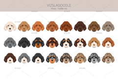 Vizsladoodle. Vizsla Poodle mix Product Image 5