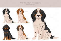 Rastreador Brasileiro clipart Product Image 2