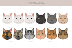 Turkish Angora cat Product Image 5