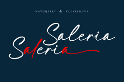Bongstand Elegant Handwritten Font Product Image 6