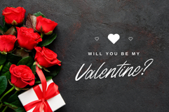 Brigrette Product Image 5