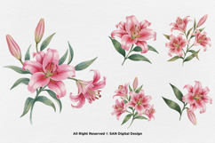 15 Bundle Watercolor Red Lily Flower Botanical Aesthetic Product Image 6