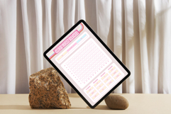 Credit Score Tracker Printable Budget Planner PDF Product Image 4