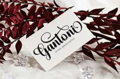 Christmas Product Image 3