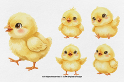 15 Bundle Watercolor Small Chicks Yellow Chicken Kids Product Image 6