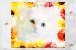 Cats &amp; flowers | skinny tumbler sublimation design bundle Product Image 6