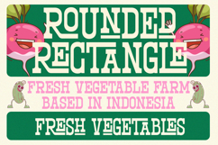 North Railway - Western Slab Serif Font Product Image 6