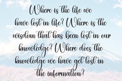 Election Product Image 6