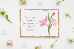 Watercolor Tulips Clipart, Spring Flowers PNG Graphics Product Image 4