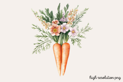 Carrot Watercolor Clipart PNG Product Image 1