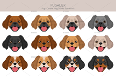Pugalier Cavapug dog mix Product Image 5