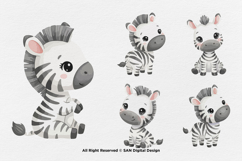 15 Bundle Watercolor Zebra Baby striped Animal Wildlife Product Image 6