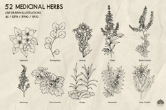 Medicinal herbs Part 2 Svg Png Eps Product Image 6