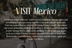 Elanova Serif Font Family Product Image 7