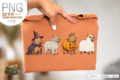 Halloween Capybara DTF PNG Product Image 2