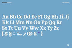 Bandito Rounded Serif Typeface Product Image 6