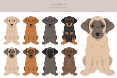 Sloughi clipart Product Image 3