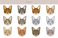 Ocicat clipart Product Image 5