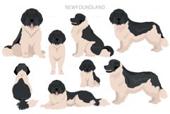 Newfoundland cliaprt Product Image 7